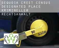 Sequoia Crest  krimineller rechtsanwalt