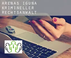 Arenas de Iguña  krimineller rechtsanwalt