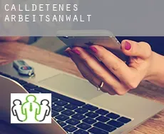 Calldetenes  arbeitsanwalt