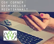 Cox Corner  krimineller rechtsanwalt
