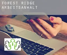 Forest Ridge  arbeitsanwalt
