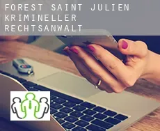 Forest-Saint-Julien  krimineller rechtsanwalt