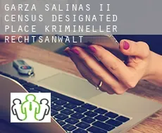 Garza-Salinas II  krimineller rechtsanwalt