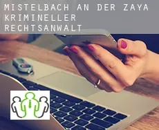 Politischer Bezirk Mistelbach an der Zaya  krimineller rechtsanwalt