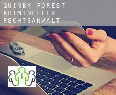 Quinby Forest  krimineller rechtsanwalt