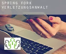 Spring Fork  verletzungsanwalt
