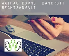 Waihao Downs bankrott rechtsanwalt