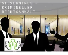 Silvermines  krimineller rechtsanwalt