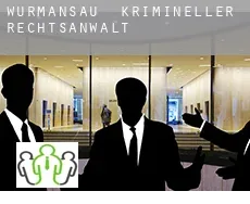 Wurmansau  krimineller rechtsanwalt