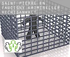 Saint-Pierre-en-Faucigny  krimineller rechtsanwalt