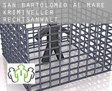 San Bartolomeo al Mare  krimineller rechtsanwalt