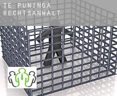 Te Puninga  rechtsanwalt