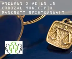 Anderen Städten in Corozal Municipio  bankrott rechtsanwalt