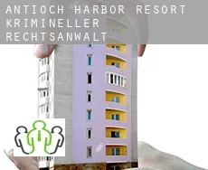 Antioch Harbor Resort  krimineller rechtsanwalt