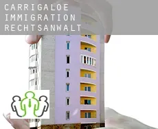 Carrigaloe  immigration rechtsanwalt