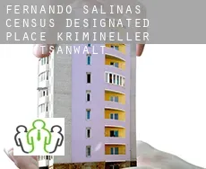 Fernando Salinas  krimineller rechtsanwalt