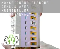 Monseigneur-Blanche (census area)  krimineller rechtsanwalt