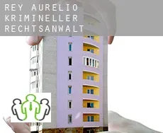 San Martín del Rey Aurelio  krimineller rechtsanwalt