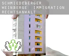 Schmiedeberger Weinberge  immigration rechtsanwalt