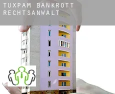 Tuxpan de Rodríguez Cano  bankrott rechtsanwalt