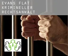 Evans Flat  krimineller rechtsanwalt