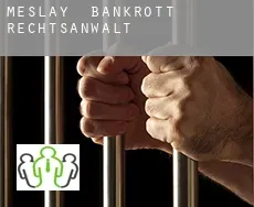Meslay  bankrott rechtsanwalt