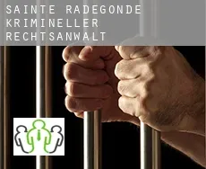 Sainte-Radegonde krimineller rechtsanwalt
