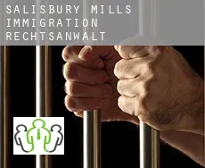 Salisbury Mills  immigration rechtsanwalt