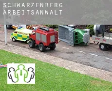 Schwarzenberg arbeitsanwalt