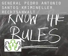 General Pedro Antonio Santos krimineller rechtsanwalt