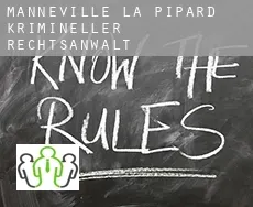 Manneville-la-Pipard  krimineller rechtsanwalt