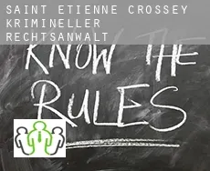 Saint-Étienne-de-Crossey  krimineller rechtsanwalt