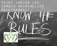 Saint-Junien-les-Combes  krimineller rechtsanwalt