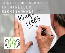 Côtes-d'Armor  krimineller rechtsanwalt