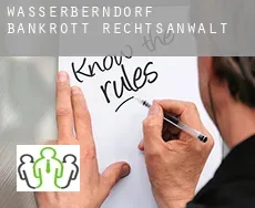 Wasserberndorf  bankrott rechtsanwalt