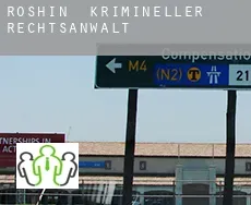 Roshin  krimineller rechtsanwalt