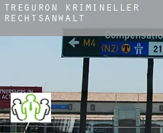 Treguron  krimineller rechtsanwalt