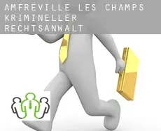Amfreville-les-Champs  krimineller rechtsanwalt