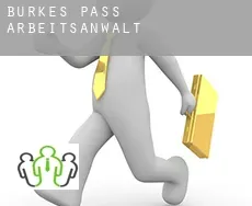 Burkes Pass  arbeitsanwalt