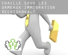 Chaillé-sous-les-Ormeaux  immigration rechtsanwalt