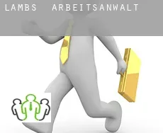 Lambs  arbeitsanwalt