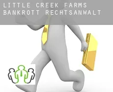 Little Creek Farms  bankrott rechtsanwalt
