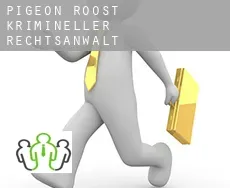 Pigeon Roost krimineller rechtsanwalt