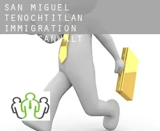 San Miguel Tenochtitlán  immigration rechtsanwalt