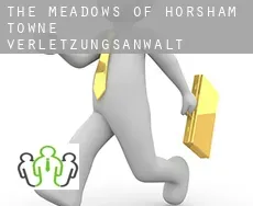 The Meadows of Horsham Towne  verletzungsanwalt