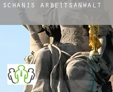 Schänis  arbeitsanwalt