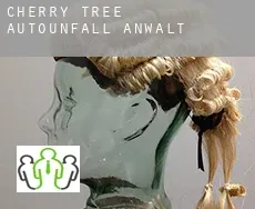 Cherry Tree Autounfall Anwalt