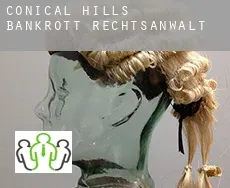 Conical Hills  bankrott rechtsanwalt