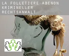 La Folletière-Abenon  krimineller rechtsanwalt