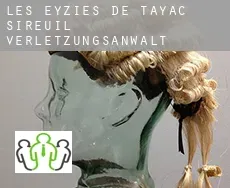 Les Eyzies-de-Tayac-Sireuil  verletzungsanwalt
